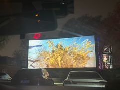 -枫花园汽车电影院(朝阳公园店)