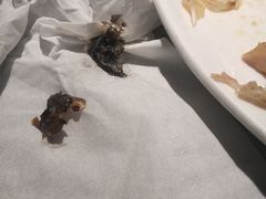 -半天妖烤鱼(西铁营万达店)