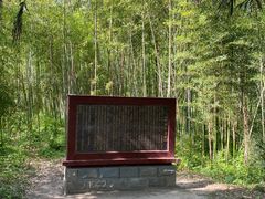 -黄海国家森林公园