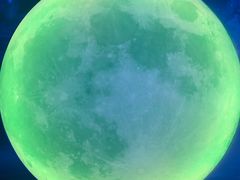 -天津梵高星空艺术馆(天河城旗舰店)