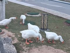 -西安国际创新人才交流中心•药浴温泉