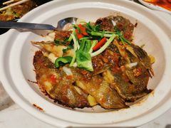 秘酱多宝鱼-稻香酒家(步步高梅溪新天地店)