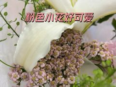 -小魚花店