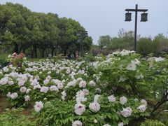 -幕燕滨江·长江观音景区