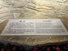 -白鹤梁水下博物馆