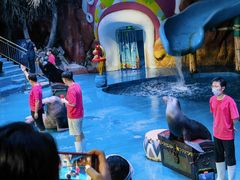 -烟台海昌鲸鲨海洋公园