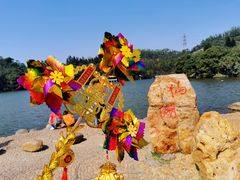 -深圳仙湖植物园