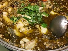 -大河宴·椒麻鱼火锅(克拉玛依西路头宫店)