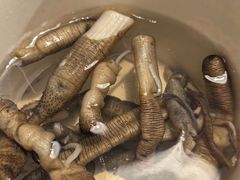 土笋冻-大厝宅海鲜馆