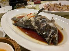 -惠州康帝国际酒店