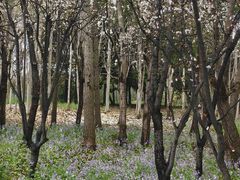 -东园小馆·早茶·淮扬小炒(宋夹城店)