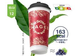 -汪说·狗咖·拼豆·宠物周边DIY(旺城大厦店)