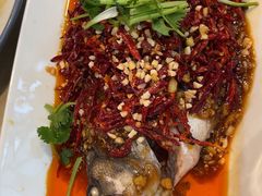 -杨氏青龙虾·羊蝎子(珠江路店)
