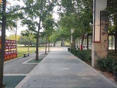 -大望京公园