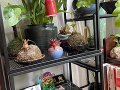 -街角 T·COFFEE 融合料理·BISTRO(车公庙店)