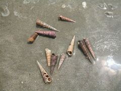 android_upload_pic-万尾金滩