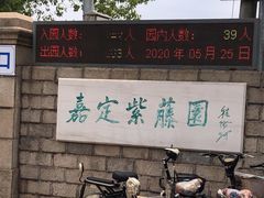 -嘉定紫藤园