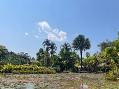 -中国科学院西双版纳热带植物园