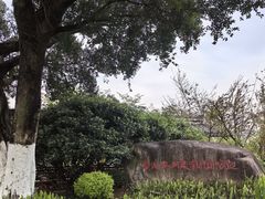 -三垟湿地