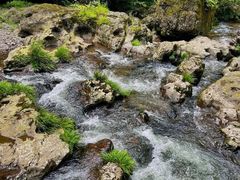 -龙苍沟森林公园