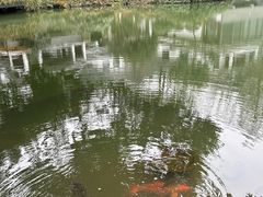 -杭州花家山庄