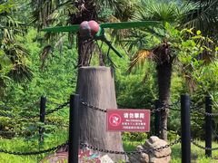 -金钉子远古世界景区