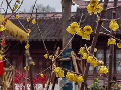 -钱王祠
