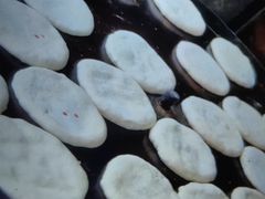 -眼镜粑粑