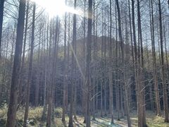 -小格里自然风景区