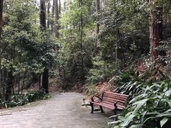-缙云山景区