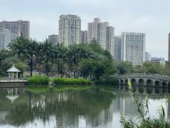 -四海公园(南山区)