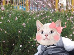 -成飞公园