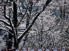 -崂山巨峰游览区