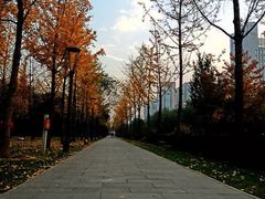 -唐城墙遗址公园