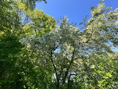 -玉渡山自然风景区