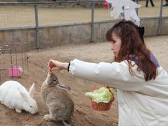 -前小桔亲子创意农场·草莓采摘·露营烧烤