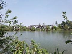 -大明寺素斋