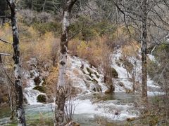 -九寨沟-树正沟