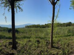 -野鸭湖国家湿地公园