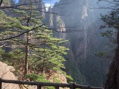 -老城南.鸭血粉丝汤(夫子庙店)