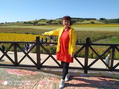 -莲花山花海