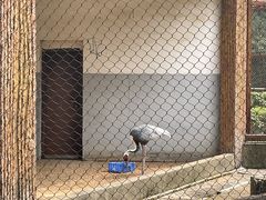 -南昌动物园