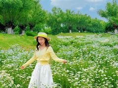 -汉长安城未央宫国家考古遗址公园