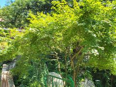 -黄牛肉馆·皖南土菜