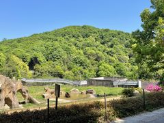 -杭州野生动物世界