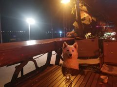 -城墙外BAR