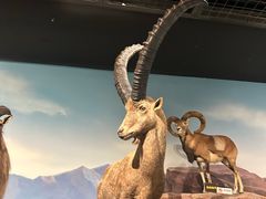 -陕西自然博物馆