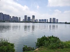 -飞来湖湿地公园
