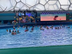 -水立方嬉水乐园