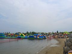 -呼兰河口湿地公园